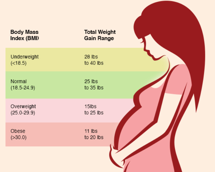 Pregnancy weight gain calculator based on starting BMI
